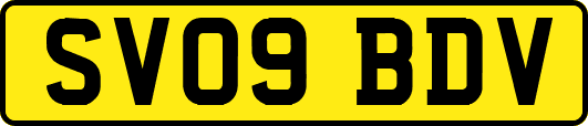 SV09BDV