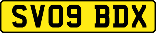 SV09BDX