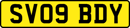 SV09BDY