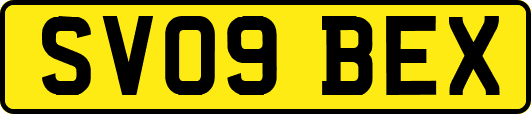 SV09BEX