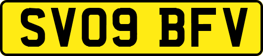 SV09BFV