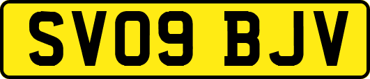 SV09BJV