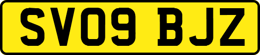 SV09BJZ