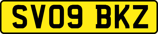 SV09BKZ