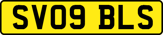 SV09BLS