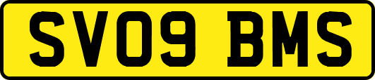 SV09BMS