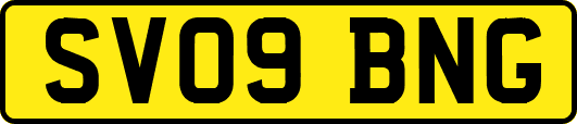 SV09BNG
