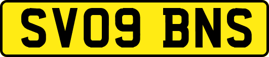 SV09BNS