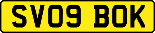 SV09BOK