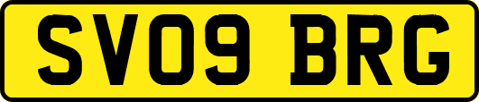 SV09BRG