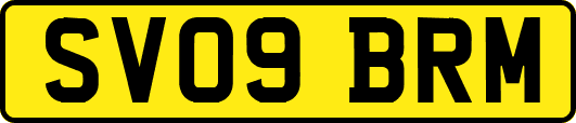 SV09BRM