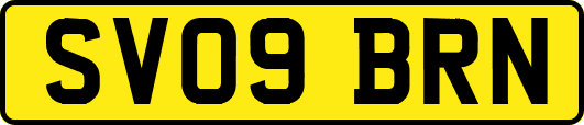 SV09BRN