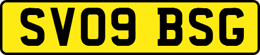 SV09BSG