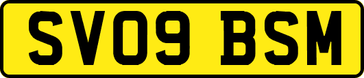 SV09BSM
