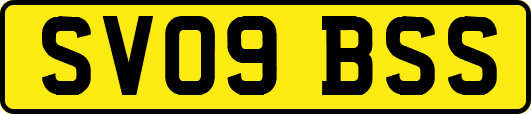 SV09BSS