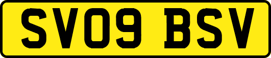 SV09BSV