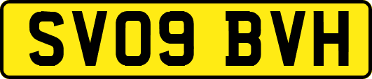 SV09BVH