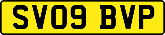 SV09BVP