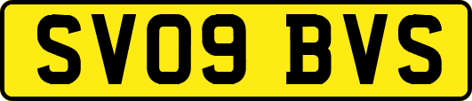 SV09BVS