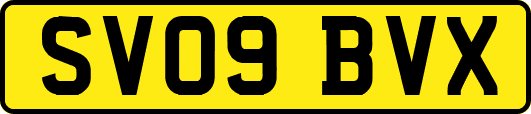 SV09BVX