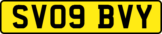 SV09BVY