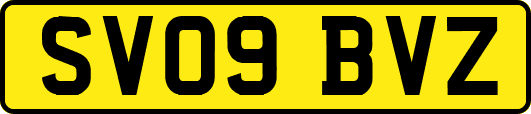 SV09BVZ