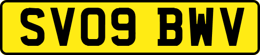 SV09BWV