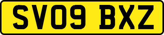 SV09BXZ