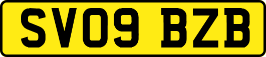 SV09BZB