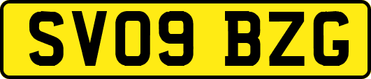 SV09BZG