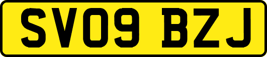 SV09BZJ