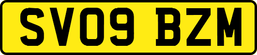 SV09BZM