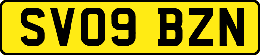 SV09BZN
