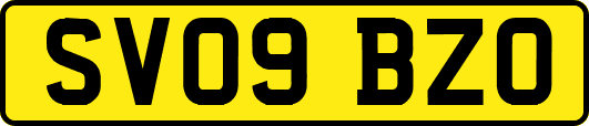 SV09BZO