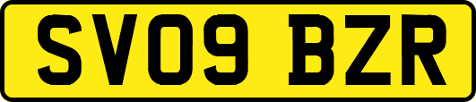 SV09BZR