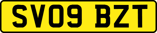 SV09BZT