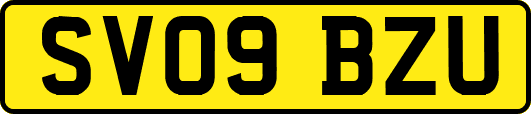 SV09BZU