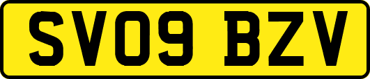 SV09BZV