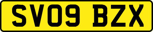 SV09BZX