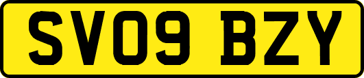 SV09BZY