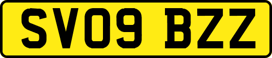 SV09BZZ