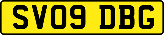 SV09DBG
