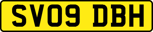 SV09DBH