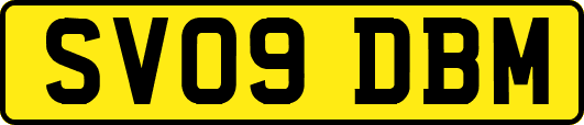 SV09DBM