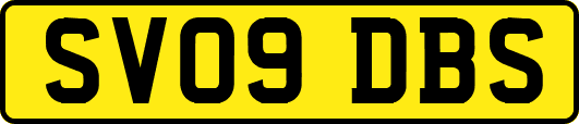 SV09DBS