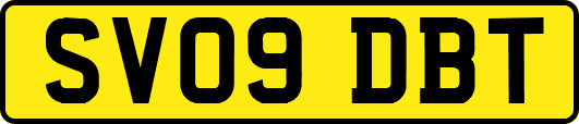 SV09DBT
