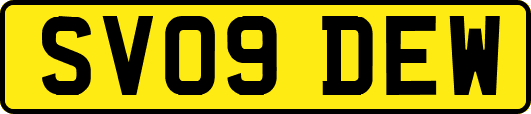 SV09DEW
