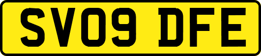 SV09DFE