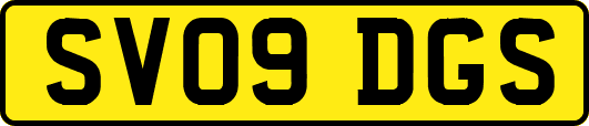 SV09DGS