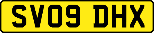 SV09DHX
